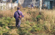 Dịch vụ cắt cỏ, phát hoang