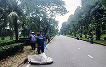 Dịch vụ bảo dưỡng cảnh quan